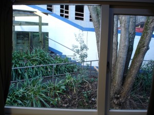 View from my window