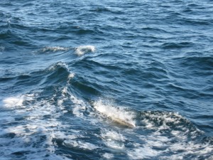 img_0064