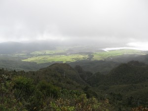 img_0115