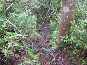 img_0123 Another...