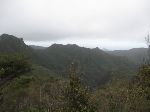 img_0132
