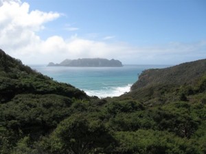 img_0176