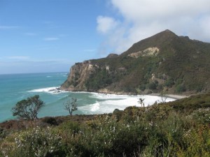 img_0181