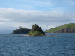 img_0204 Smallest island I saw.