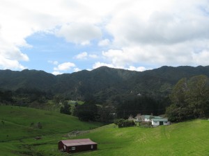 img_0213
