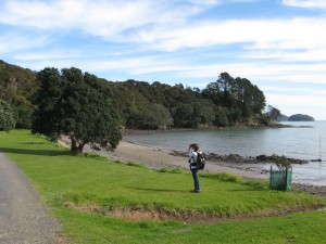 img_0225