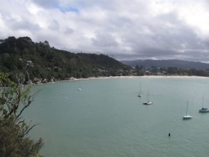 Looking out over the Whitianga cove area.